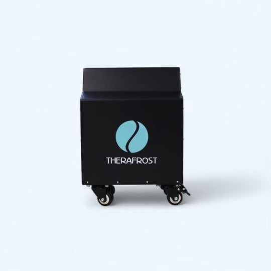 Ozone purification system