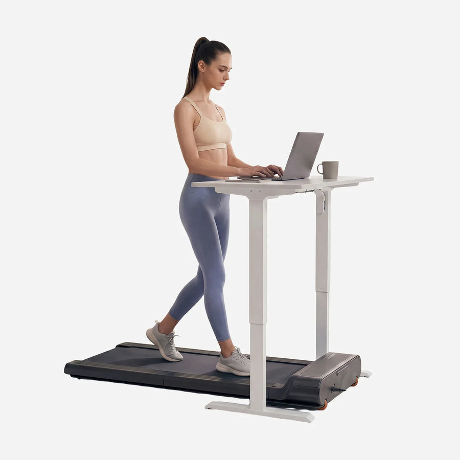Under a standing desk