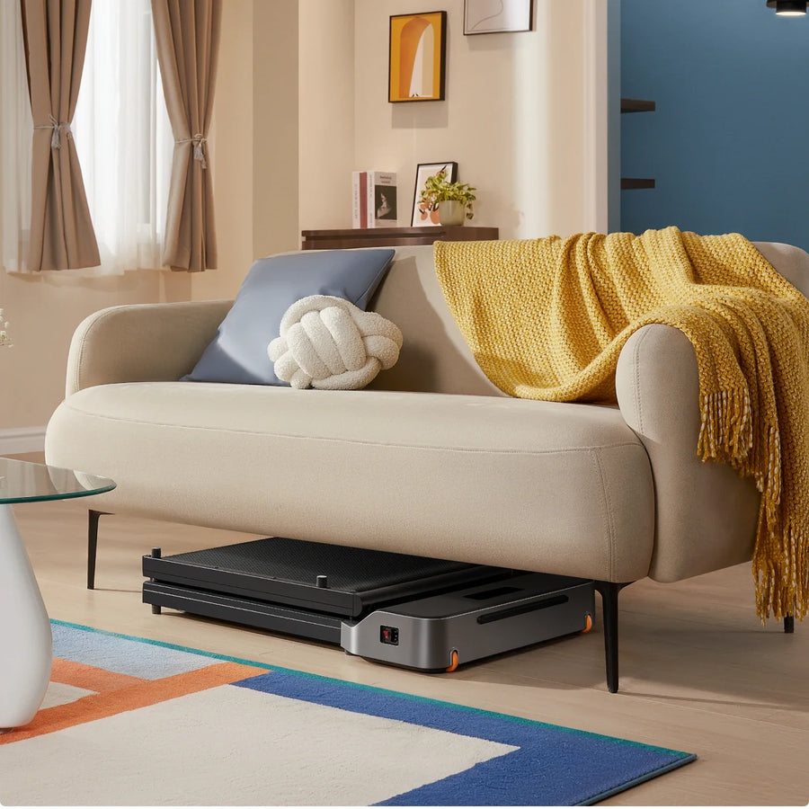 Stores under a sofa