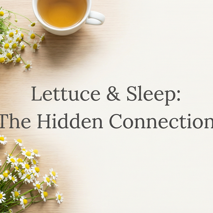Lettuce & Sleep: The Hidden Connection
