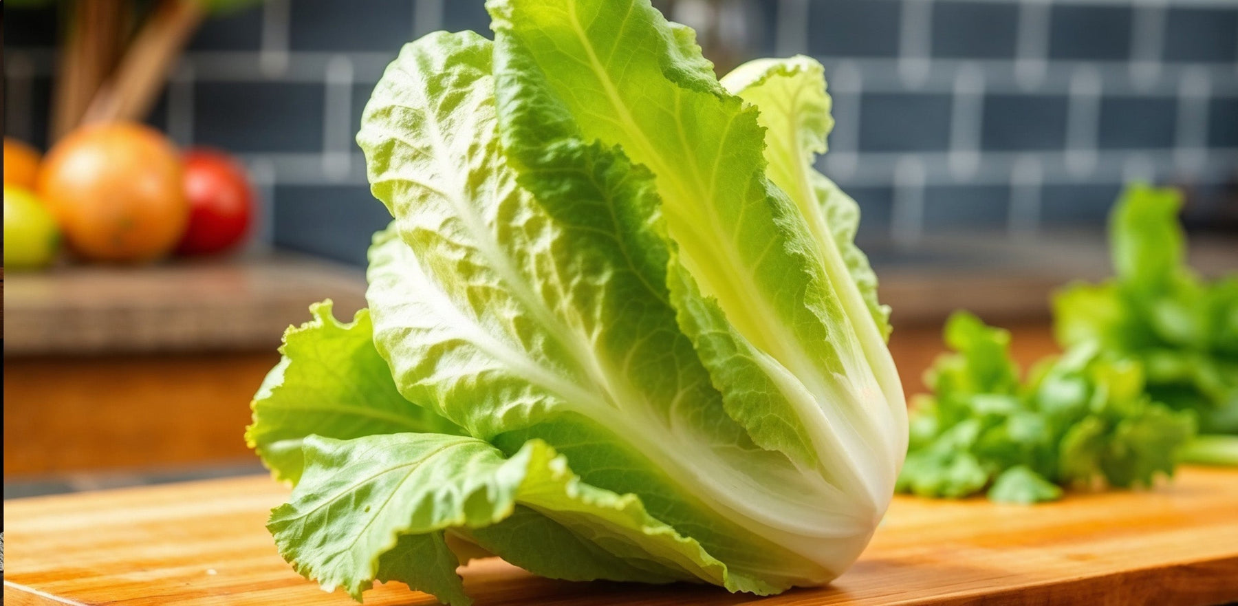 The Hidden Power of Lettuce: Why It’s Important For Sleep