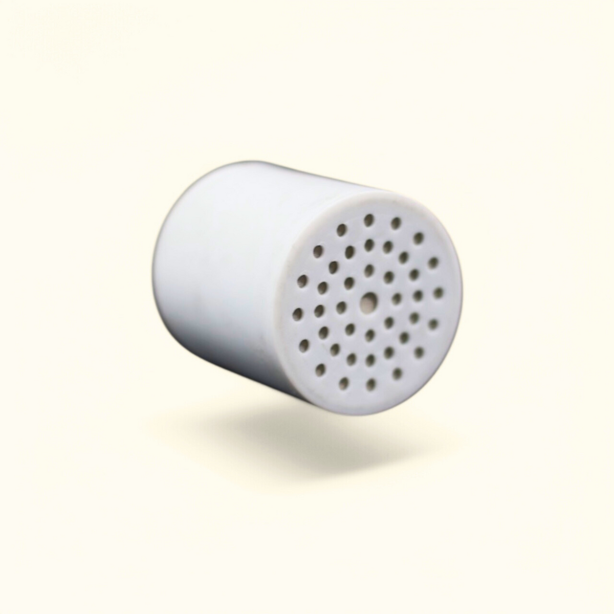 Therasage Shower Filter