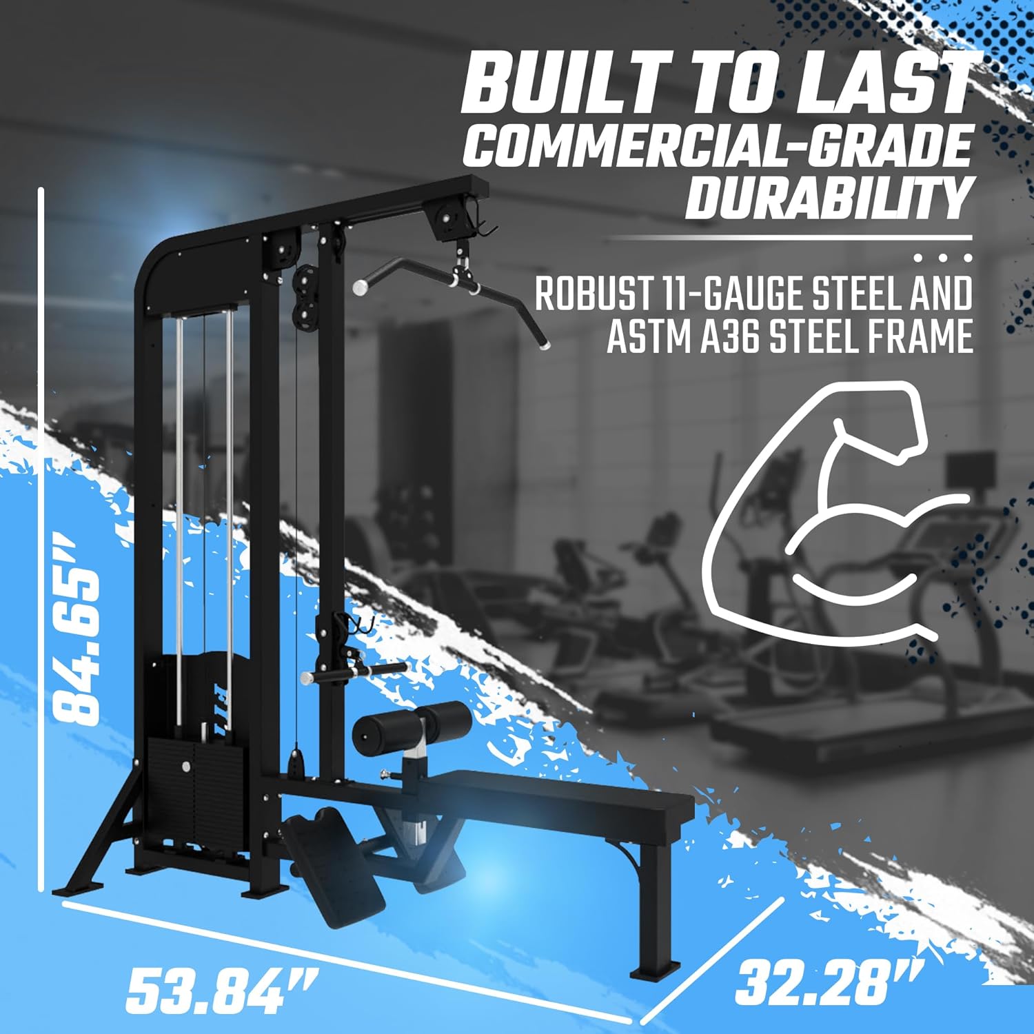 Two essential back movements, one balanced workflow.