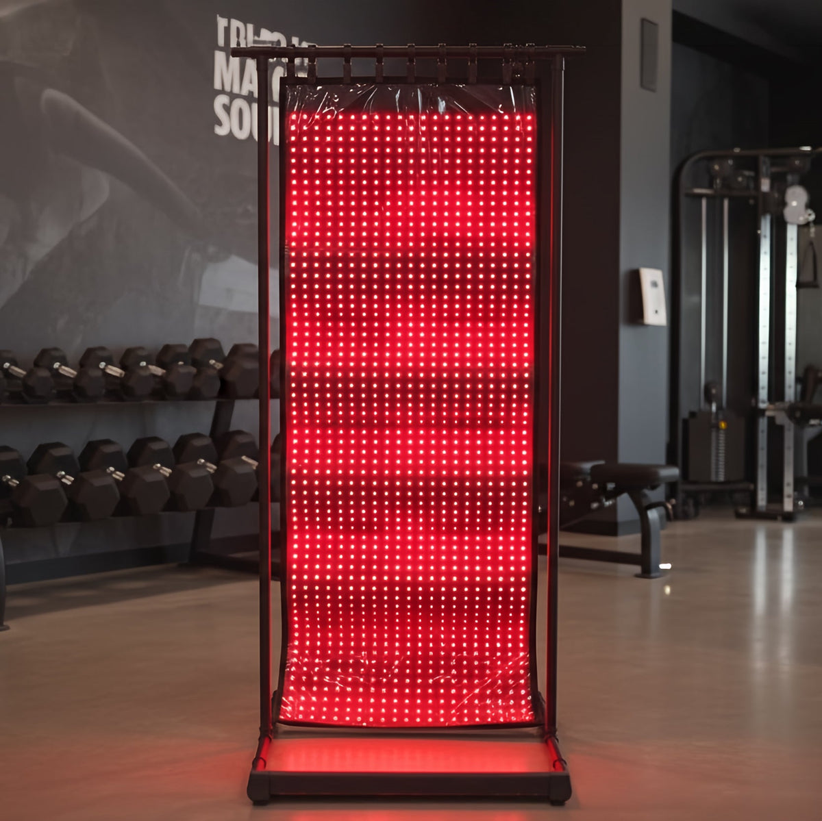 EnergyLounger Blanket Red and Infrared Light Therapy Blanket