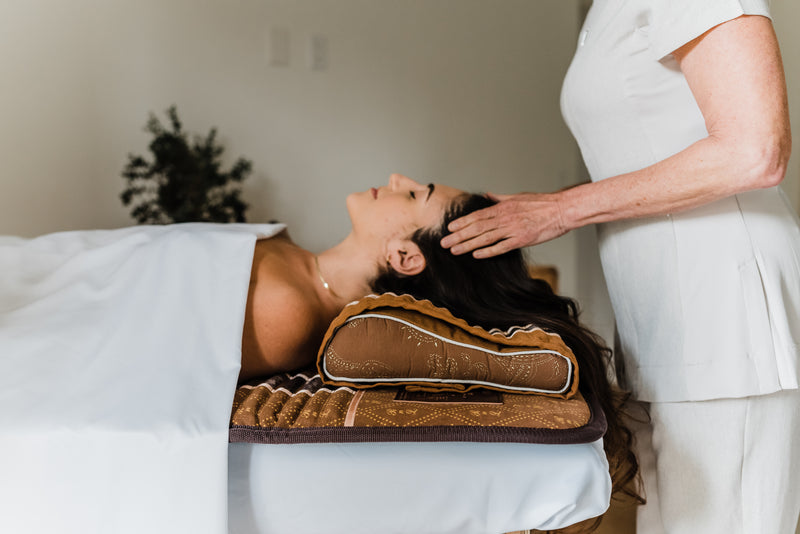 BioMat Amethyst Pillow