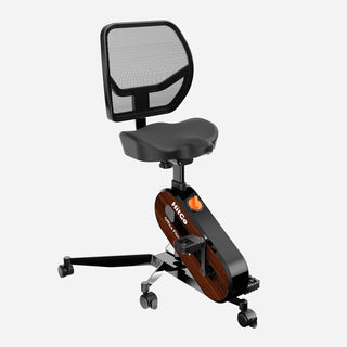 WalkingPad FC1 Office Bike with Backrest